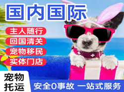 哈尔滨太平机场货运国际宠物托运 【国